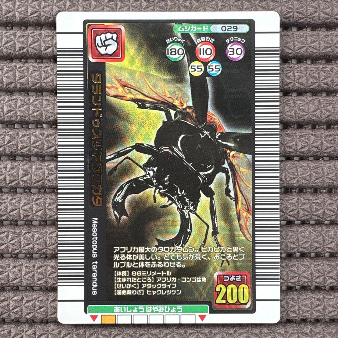 希少 タランドゥスツヤクワガタ 2005年夏限定デザインカード 金