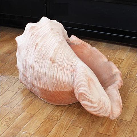 シェル型陶器プランター 大きめ オレンジ