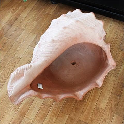 シェル型陶器プランター 大きめ オレンジ