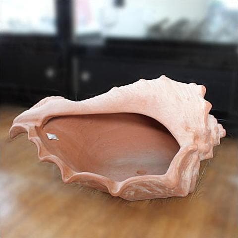 シェル型陶器プランター 大きめ オレンジ