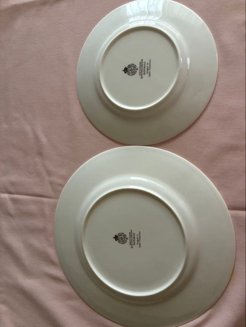 花柄の皿セット 大皿27cm 小皿20cm