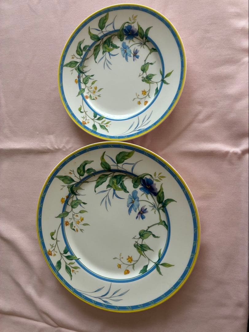 花柄の皿セット 大皿27cm 小皿20cm