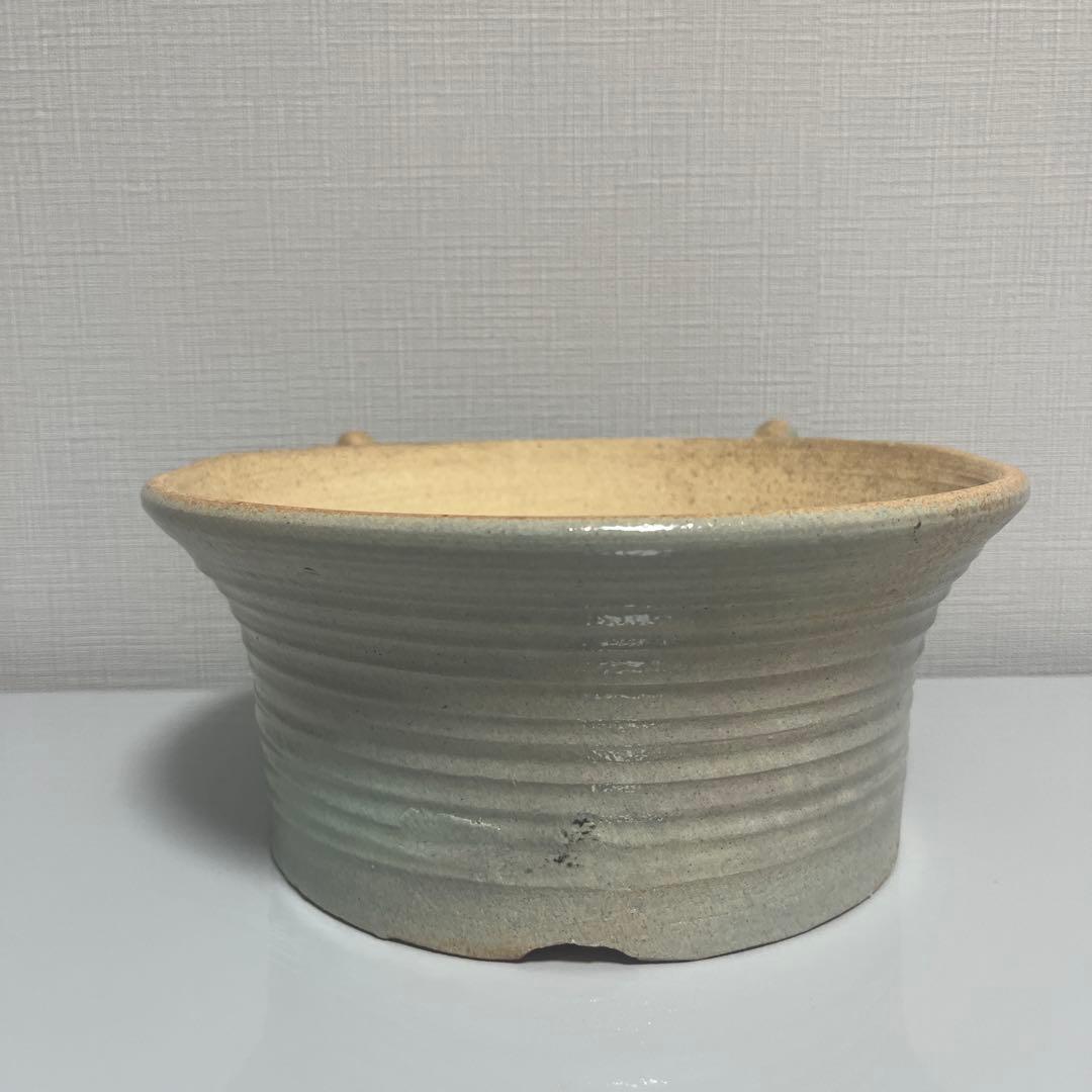 植木鉢　盆栽・塊根植物　シーサー