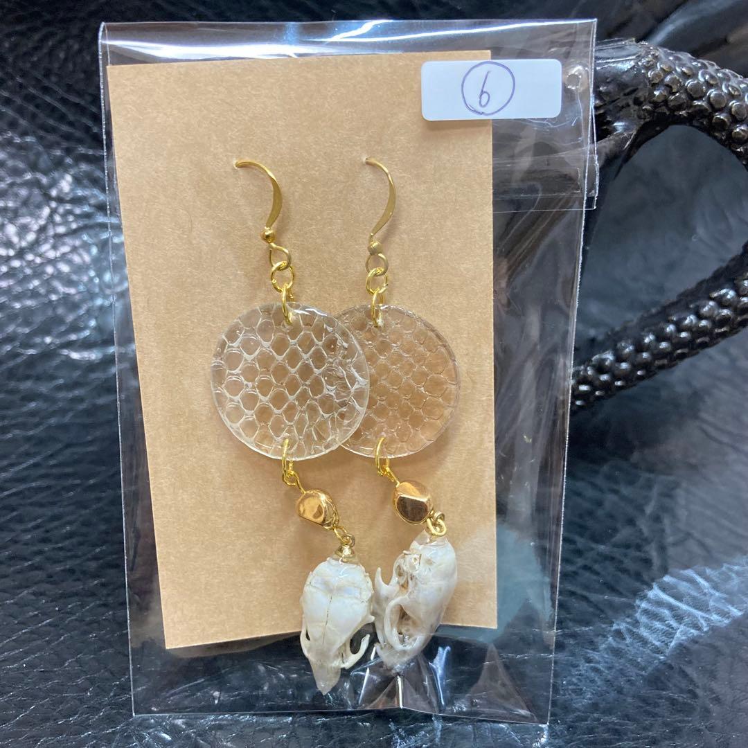 ぶっ飛んでる人向け ヘビの抜殻＆マウスの頭骨ピアス