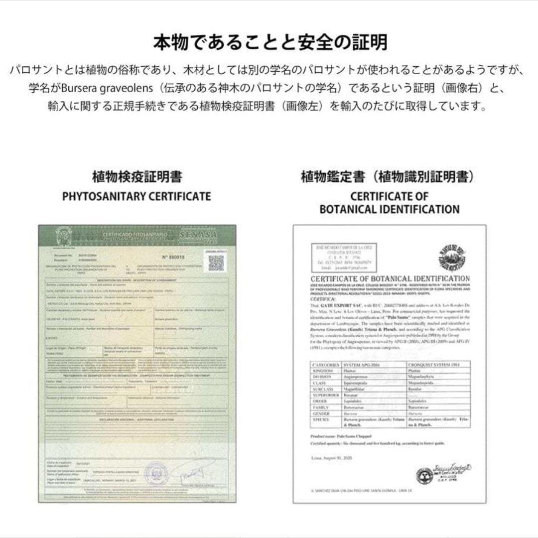 【業務用1000g】ペルー産パロサントスティック 香木 浄化 PaloSanto