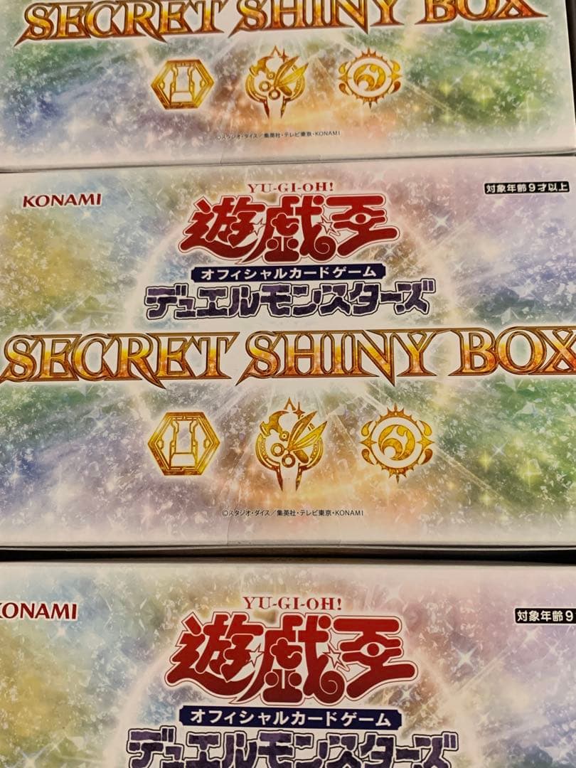 SECRET SHINY BOX シークレットシャイニーボックス 6BOX