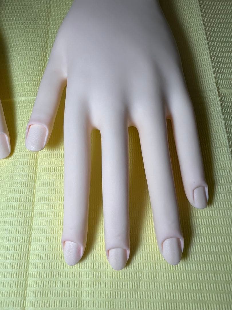 認定　モデルハンド