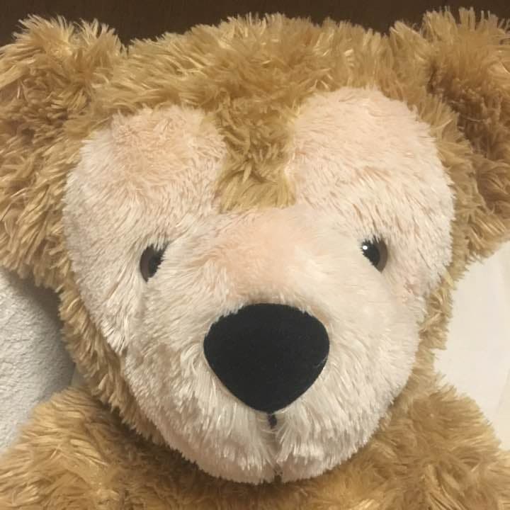 アメリカンダッフィー 特大