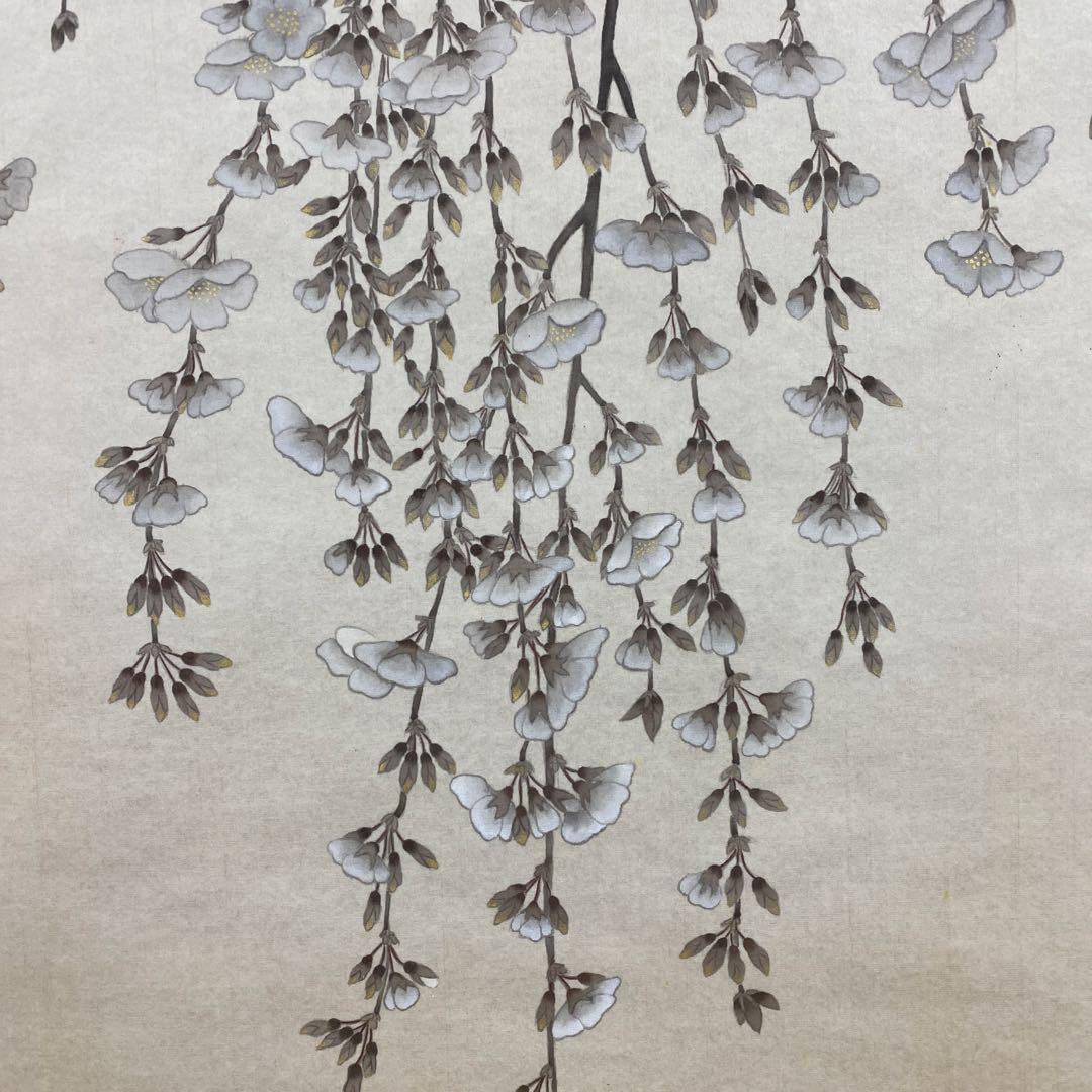 美品 掛け軸 二村絢子作 大幅 しだれ桜図 共箱 縁起物 枝垂桜 - メルカリ