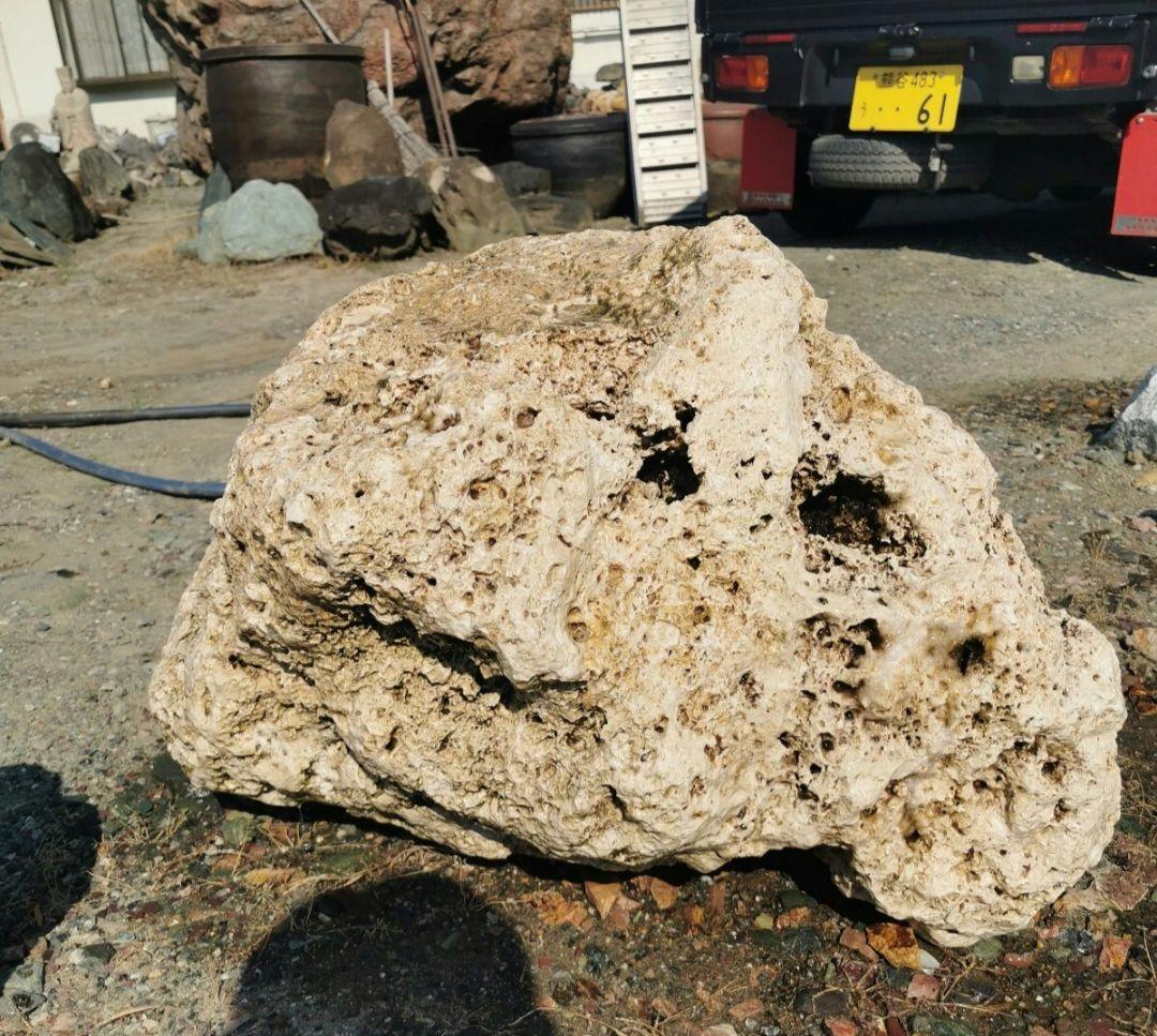 サンゴ石　170キロ　庭石　石　鑑賞石 石材　庭　ガーデニング　置物