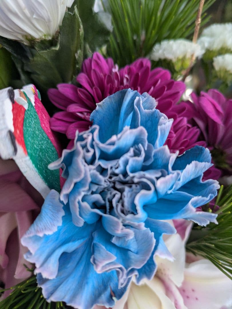 ❀さくらもち様❀