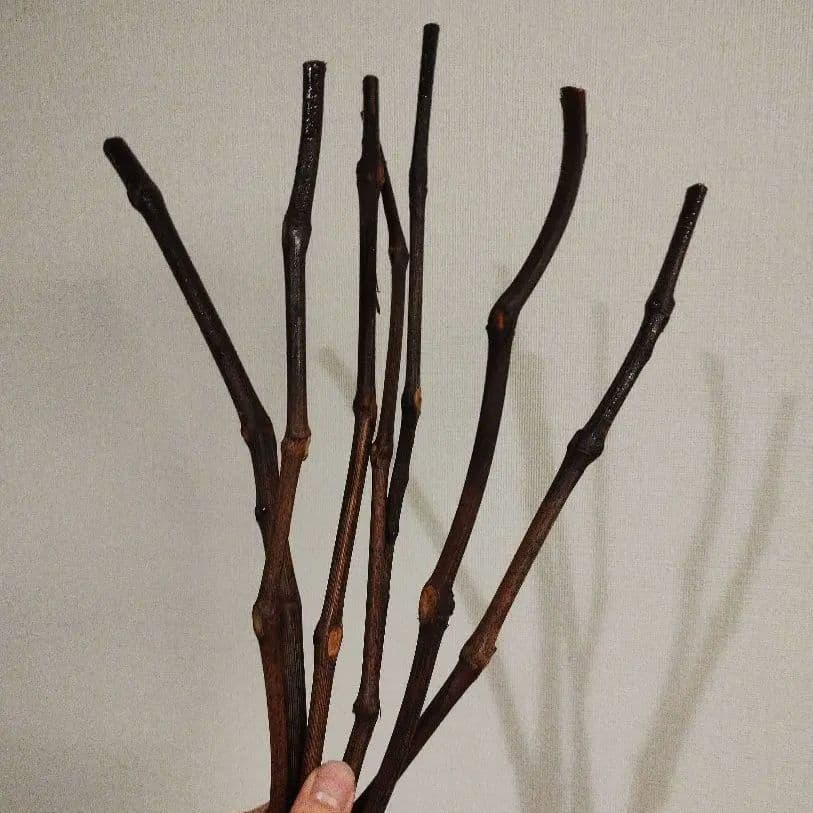 Dr.Vranjes ディフューザー ROSSO NOBILE