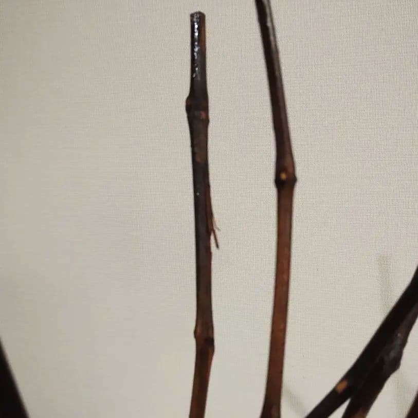 Dr.Vranjes ディフューザー ROSSO NOBILE