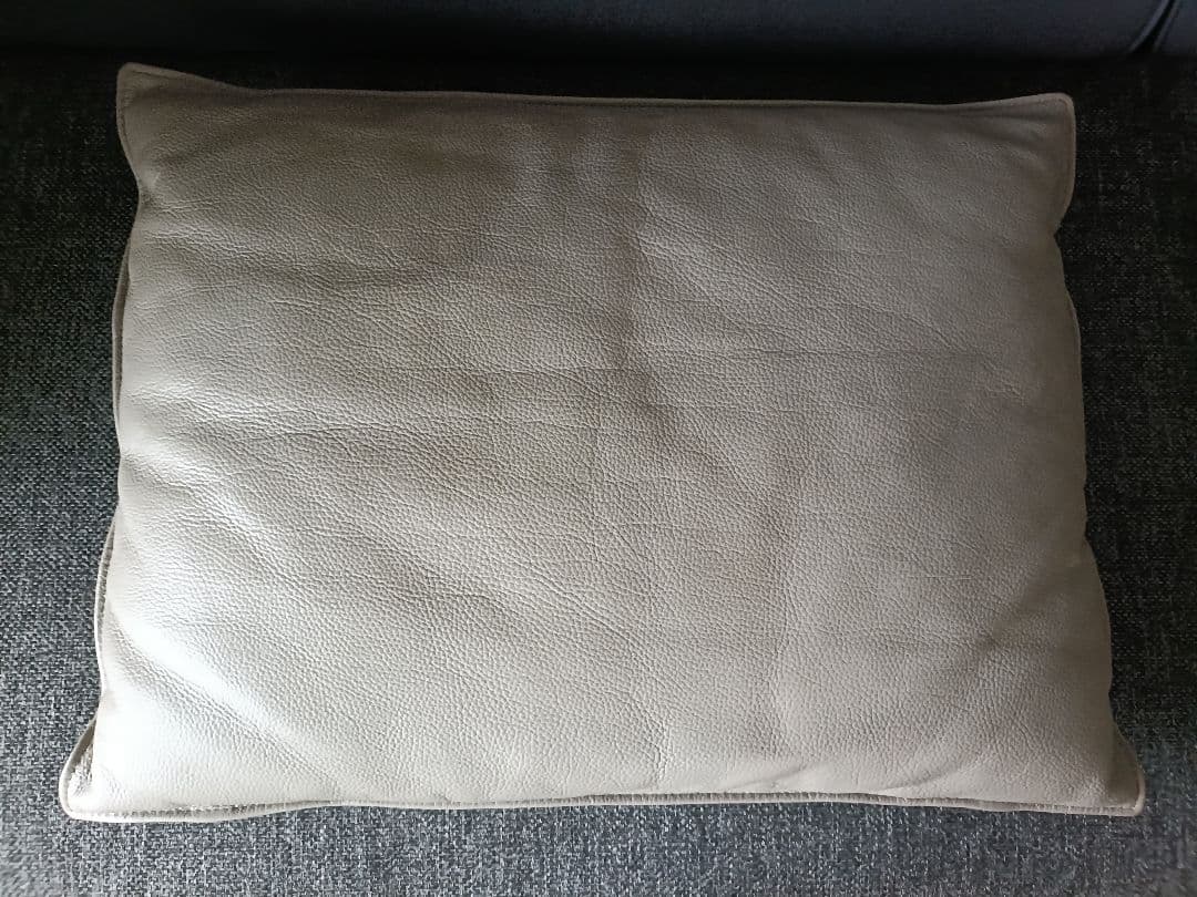 本革クッション付　フランスベッド　FREEing　ソファベッド