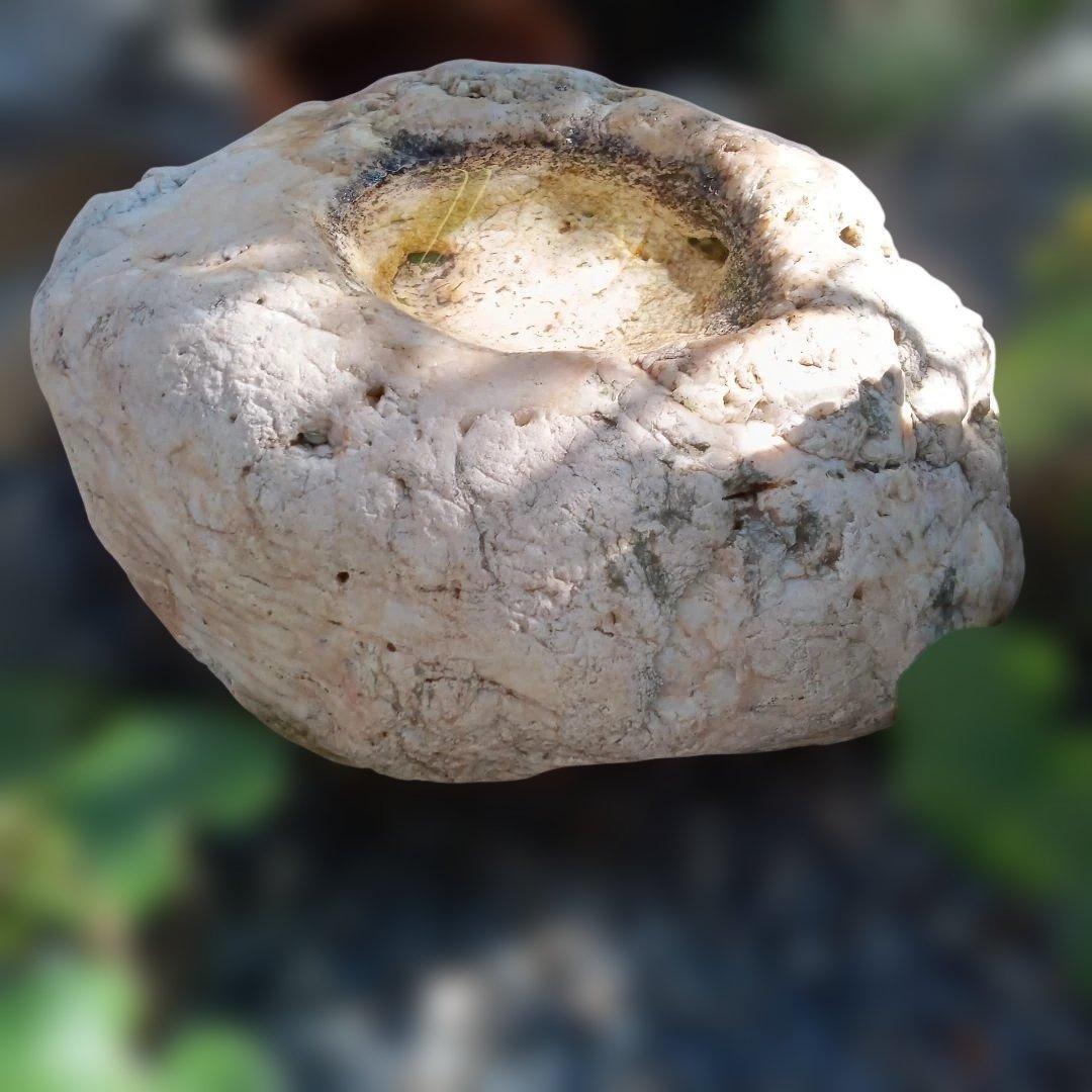 蹲　手水鉢　庭石　灯籠　臼　ガーデニング　園庭　オブジェ