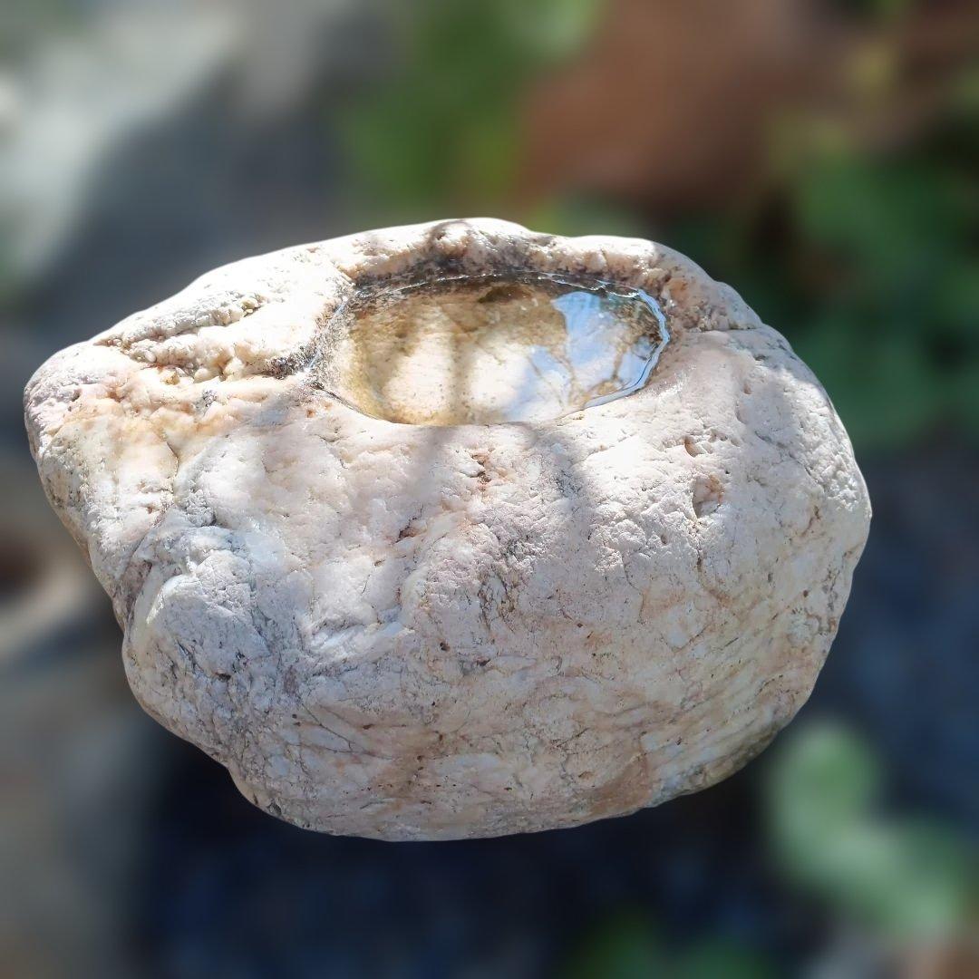 蹲　手水鉢　庭石　灯籠　臼　ガーデニング　園庭　オブジェ