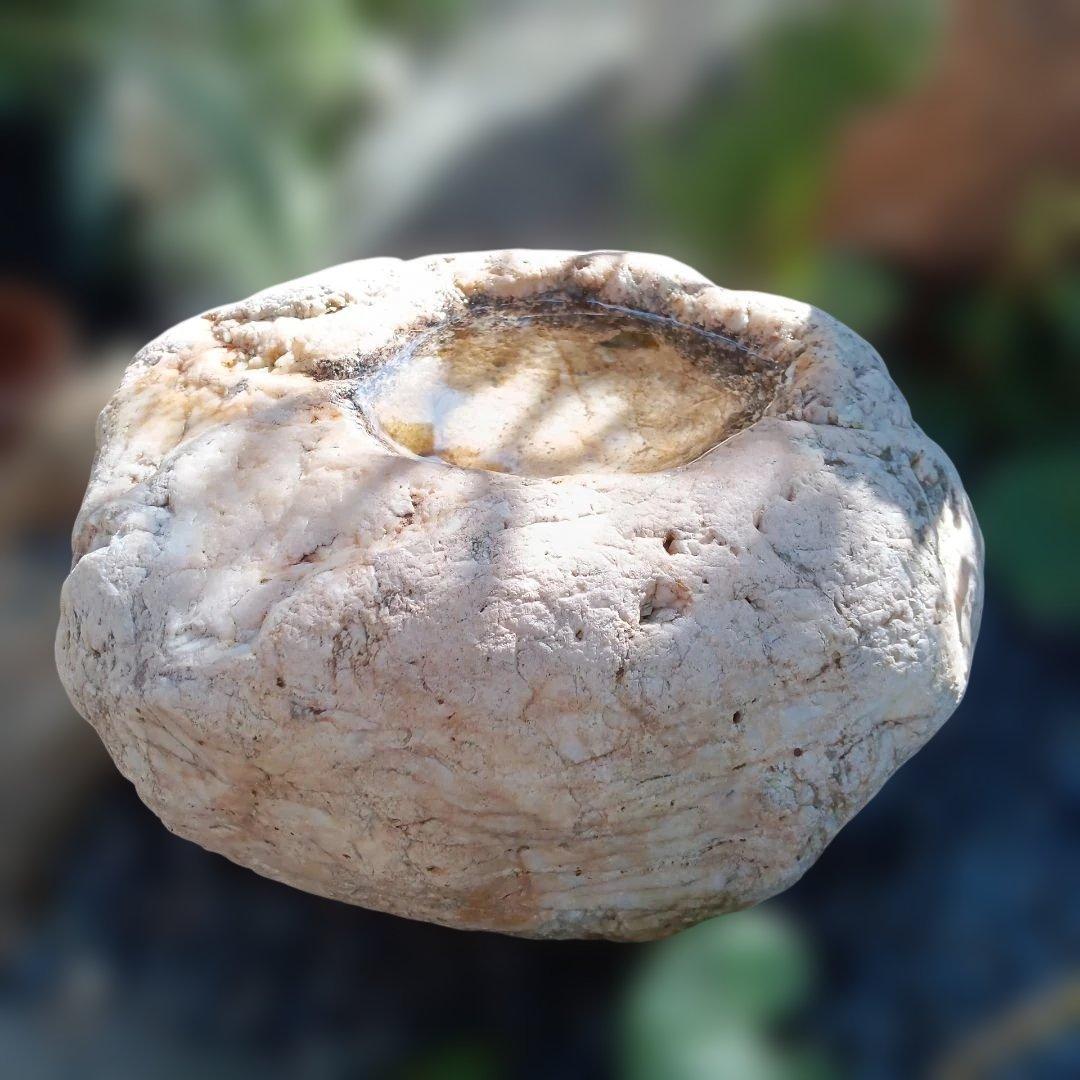 蹲　手水鉢　庭石　灯籠　臼　ガーデニング　園庭　オブジェ