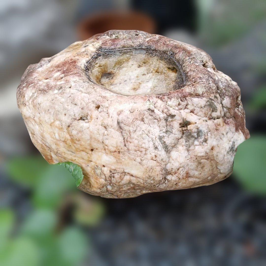 蹲　手水鉢　庭石　灯籠　臼　ガーデニング　園庭　オブジェ