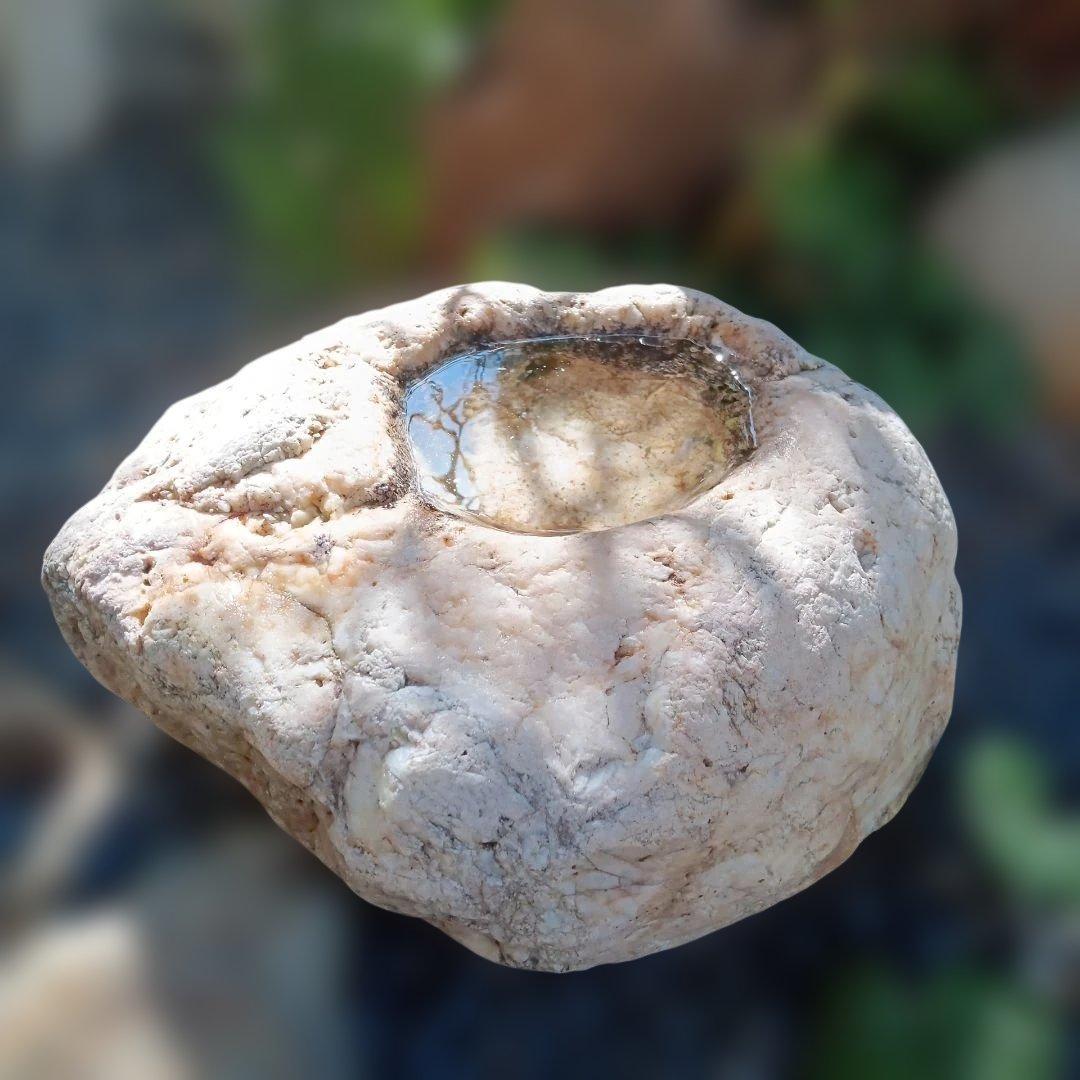 蹲　手水鉢　庭石　灯籠　臼　ガーデニング　園庭　オブジェ