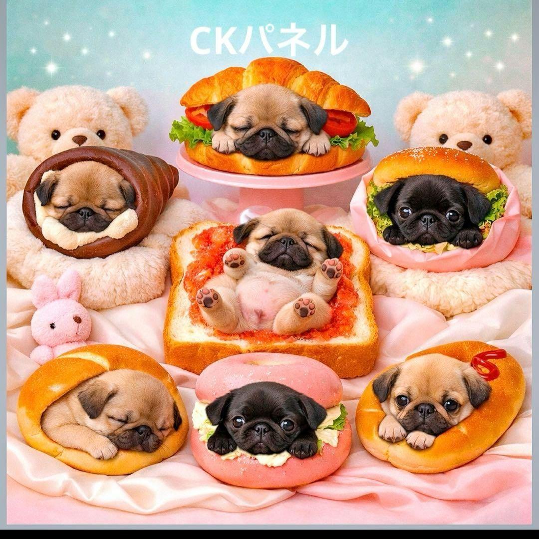 激レアパンチワワ、トイプー、ポメラニアン、パグ、柴犬、マルチーズ