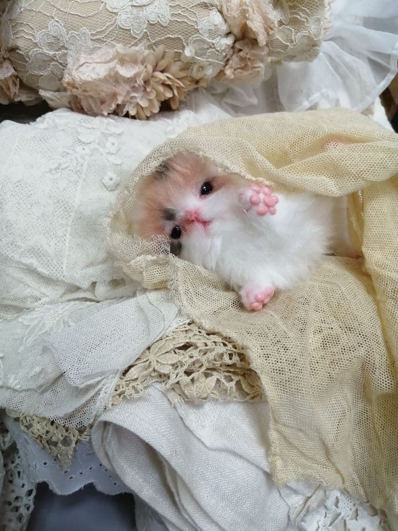 ♥三毛猫♥ちるちるちゃんっ♥16センチ・生後2週間(≧