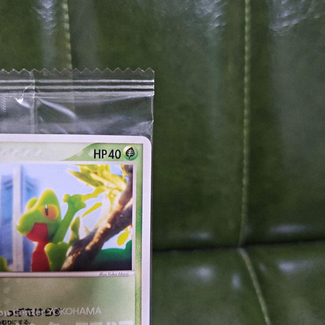 ポケモンカード キモリ プロモカード ポケモンセンターヨコハマ
