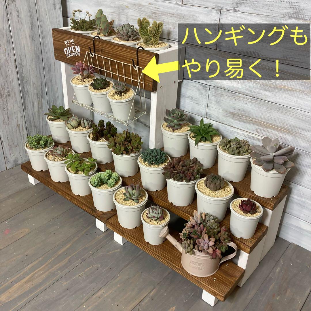 L08 多肉植物棚 多肉棚 ウッドプランター 観葉植物 ディスプレイ 花台