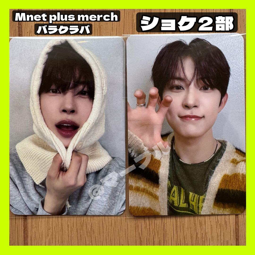 ALPHADRIVEONE ショケ ショーケース バラクラバ トレカ ゴヌ - メルカリ