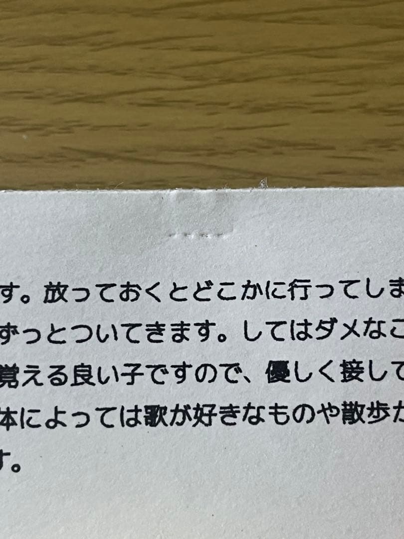 空想アパートメント　カネヒラ　ニューベビーレモン　美品　赤ちゃん