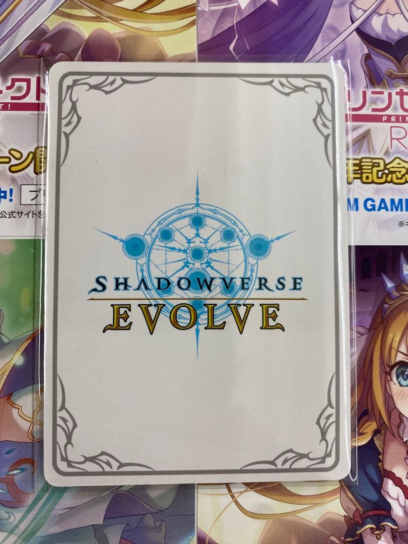 プリンセスフォーム］レイ リーダー 1枚 - メルカリ