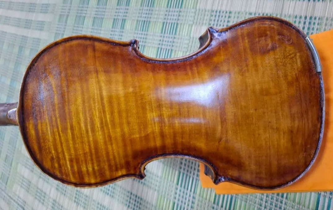 エンリスク チェルティー 裏板のみ制作)のバイオリン