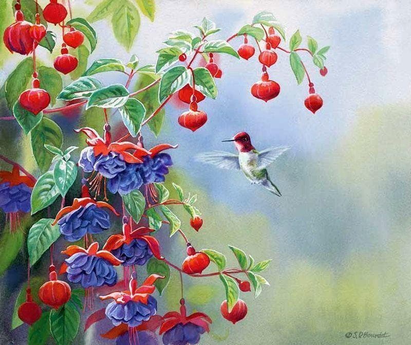 スーザン・ブルデ ヴィンテージ ステンドグラス ハチドリとフクシア 水彩画 絵画