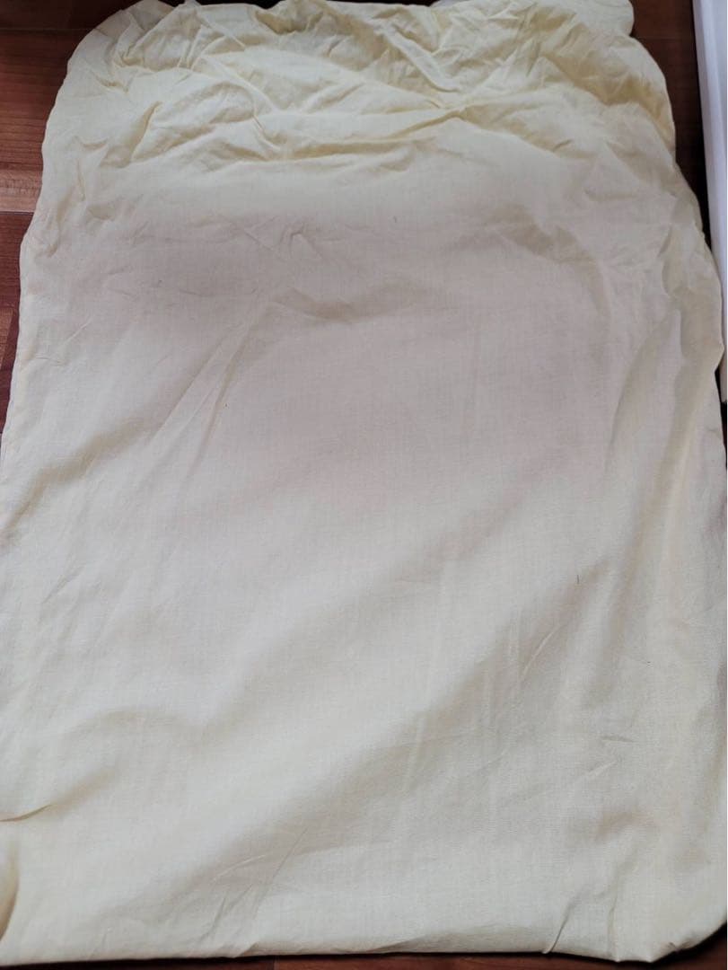 レア　久里洋ニ　絵　原画　本物　「花の実の中から女の子」　31.5×38cm