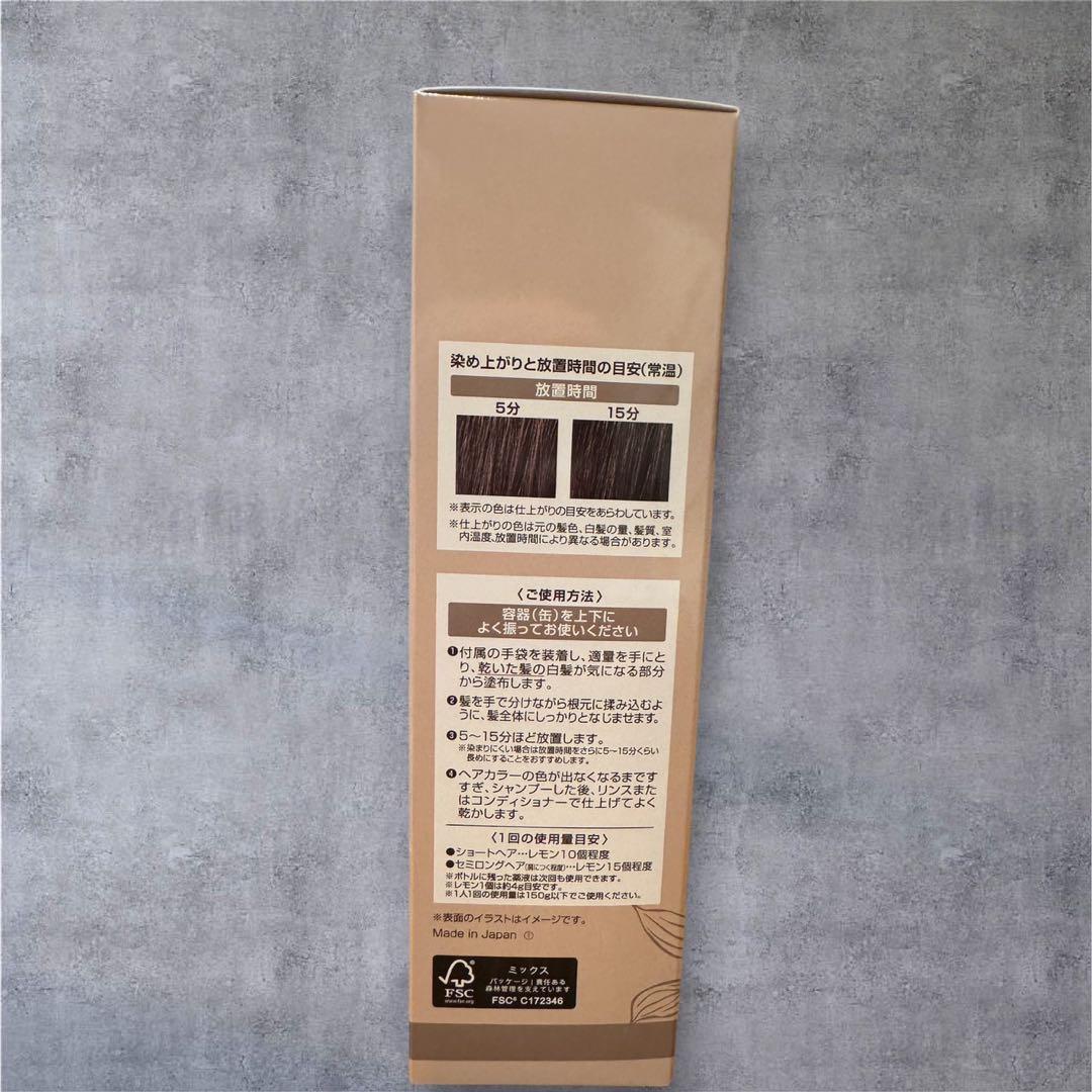 ヘアボーテ エクラ ボタニカルエアカラーフォーム ダークブラウン 2本セット