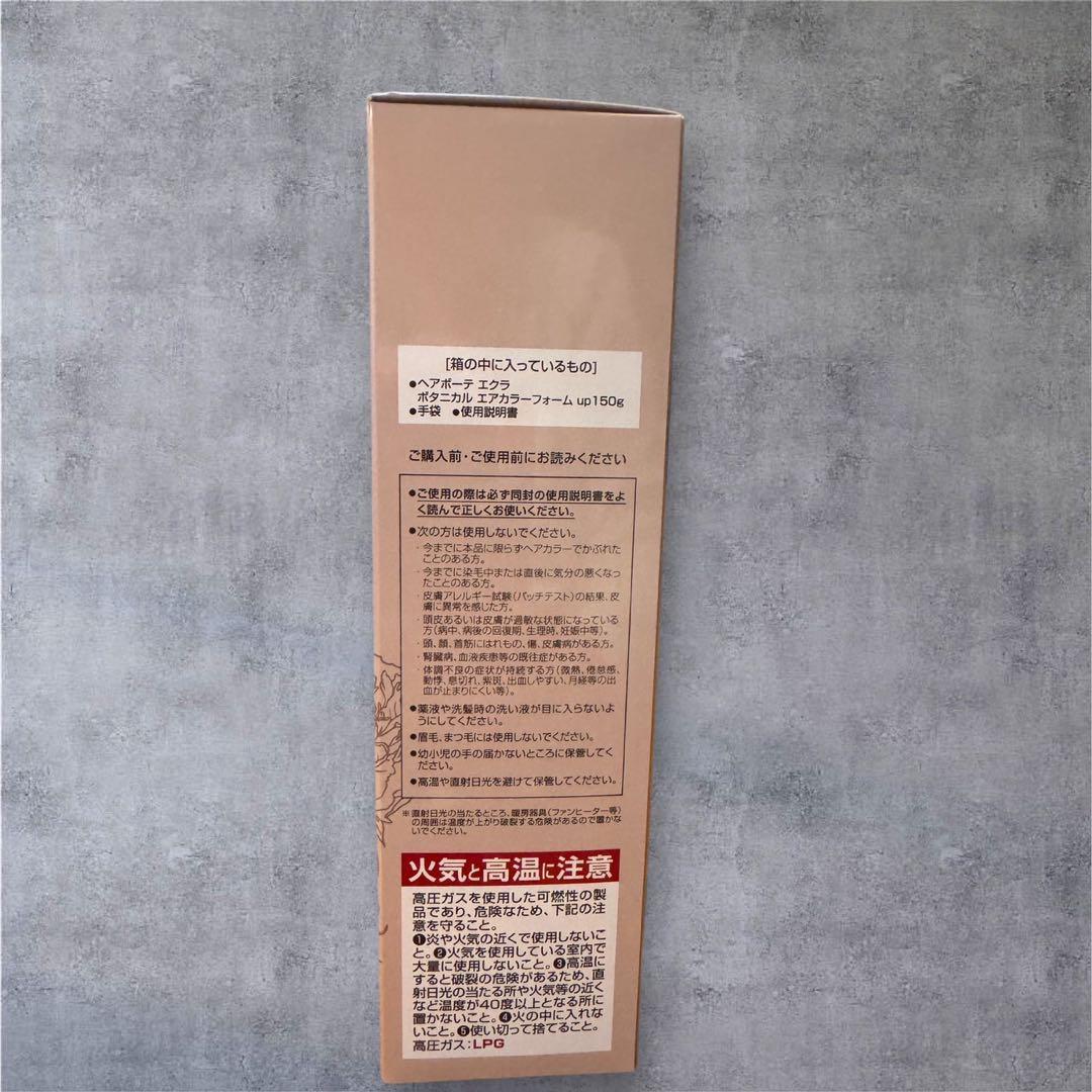 ヘアボーテ エクラ ボタニカルエアカラーフォーム ダークブラウン 2本セット