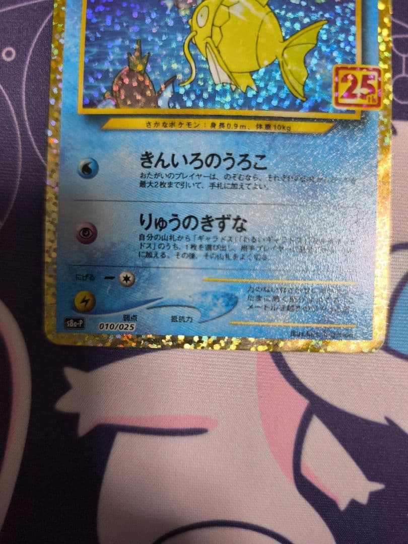 ひかるコイキング 25th