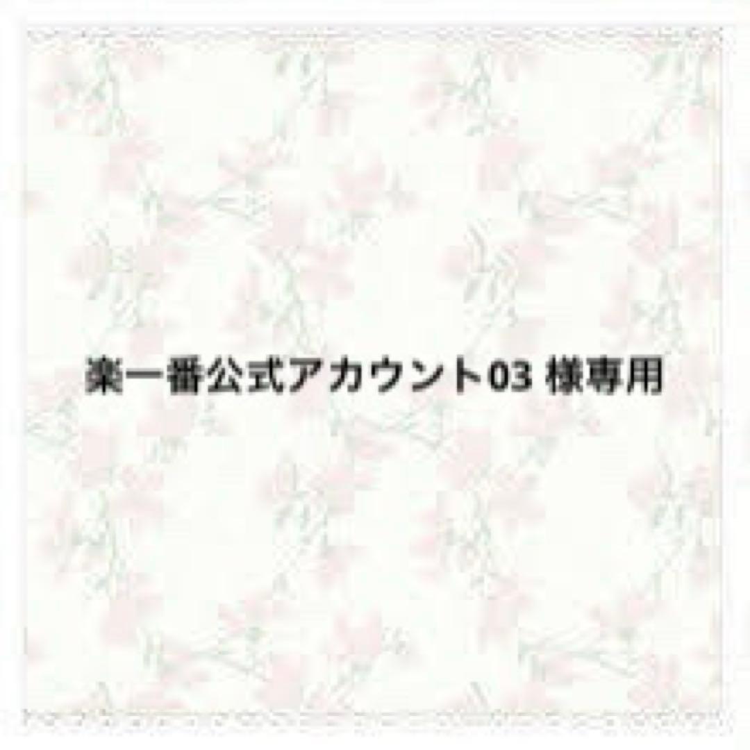 楽一番公式アカウント03 様専用 - メルカリ
