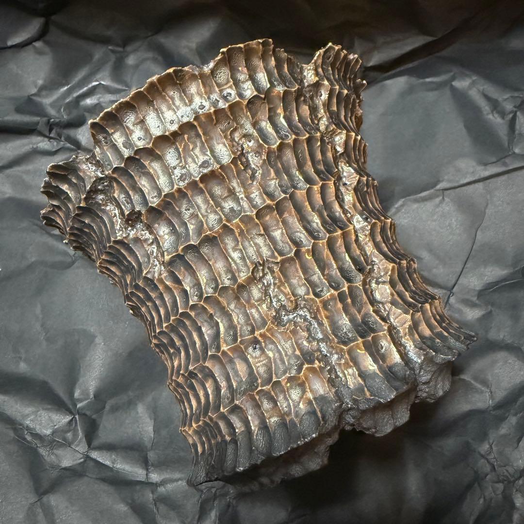 raw life factory RLF invisible ink 木輪 - メルカリ