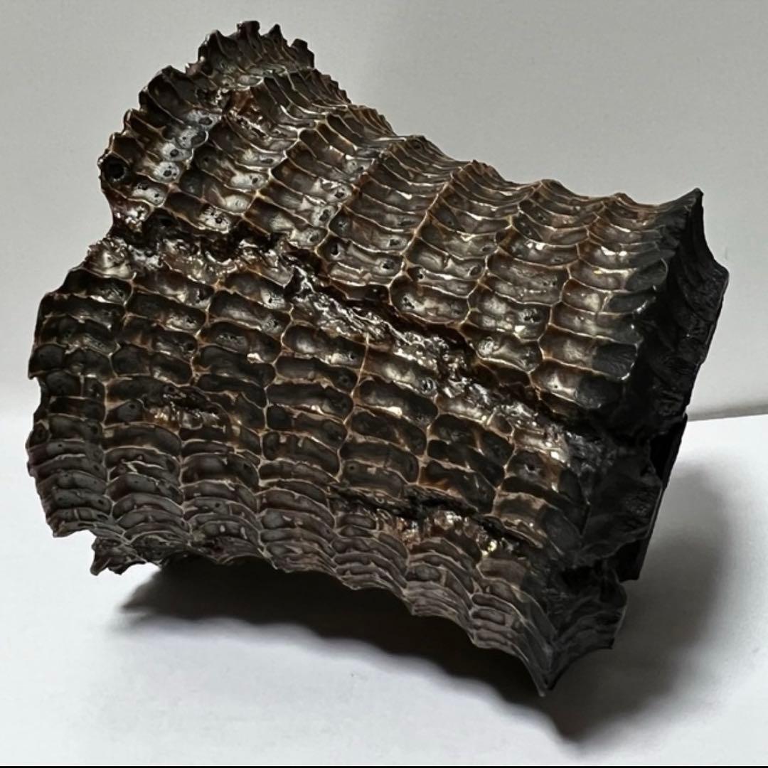 raw life factory RLF invisible ink 木輪 - メルカリ