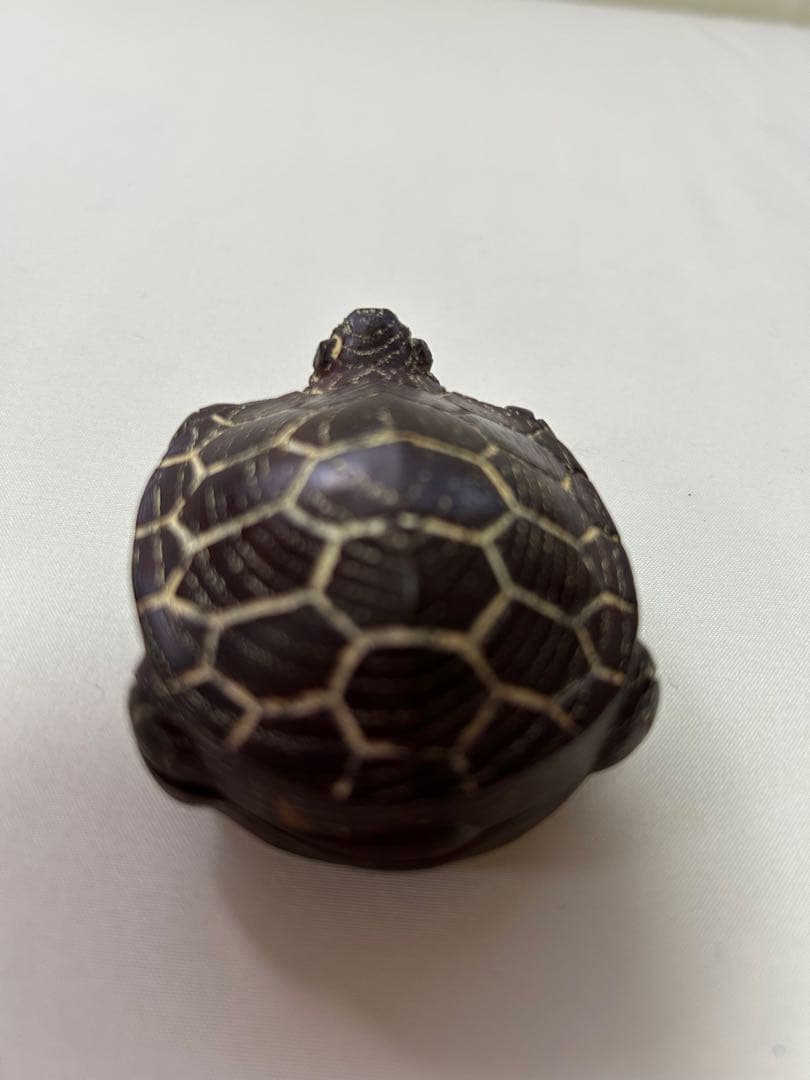 茶道具【香合】　亀　岩倉隆斎（隆弘峯）　共箱付き