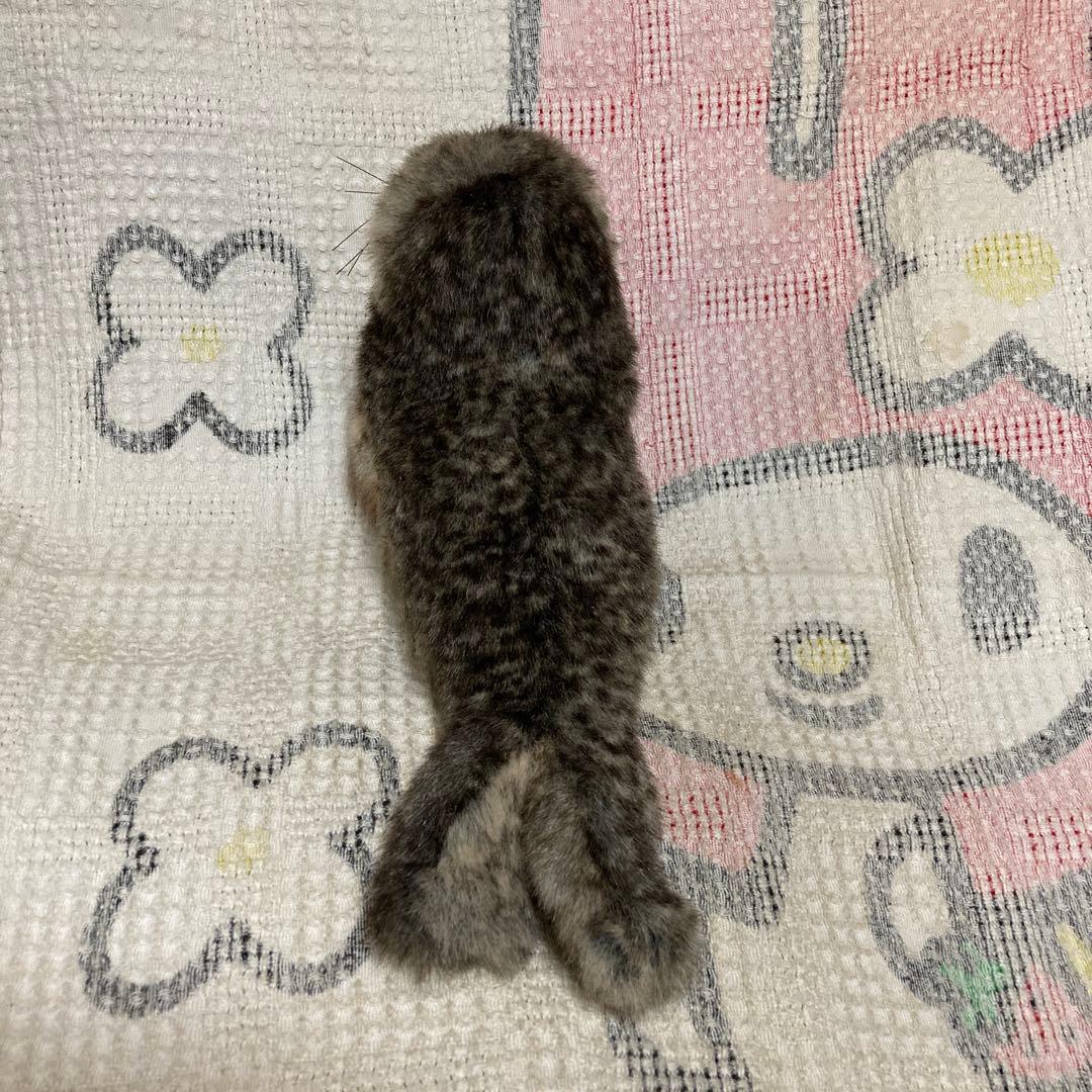 Steiff ミンキー シール EAN063046 アザラシ 中古品 - メルカリ