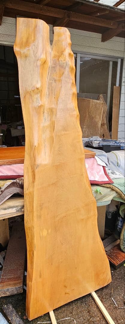 栃　トチ　カウンター　一枚板　希少