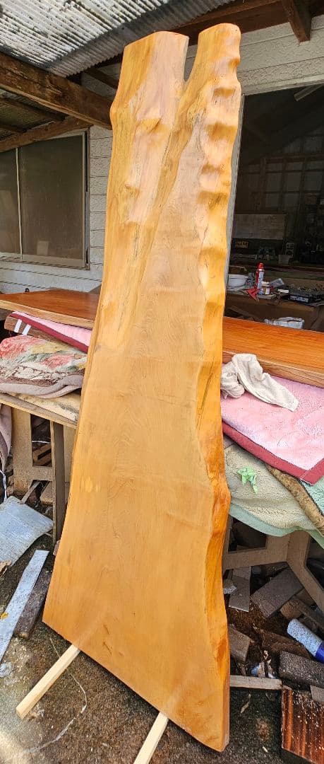 栃　トチ　カウンター　一枚板　希少