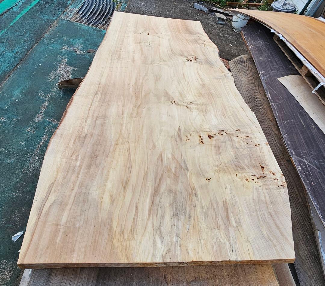 栃　トチ　カウンター　一枚板　希少