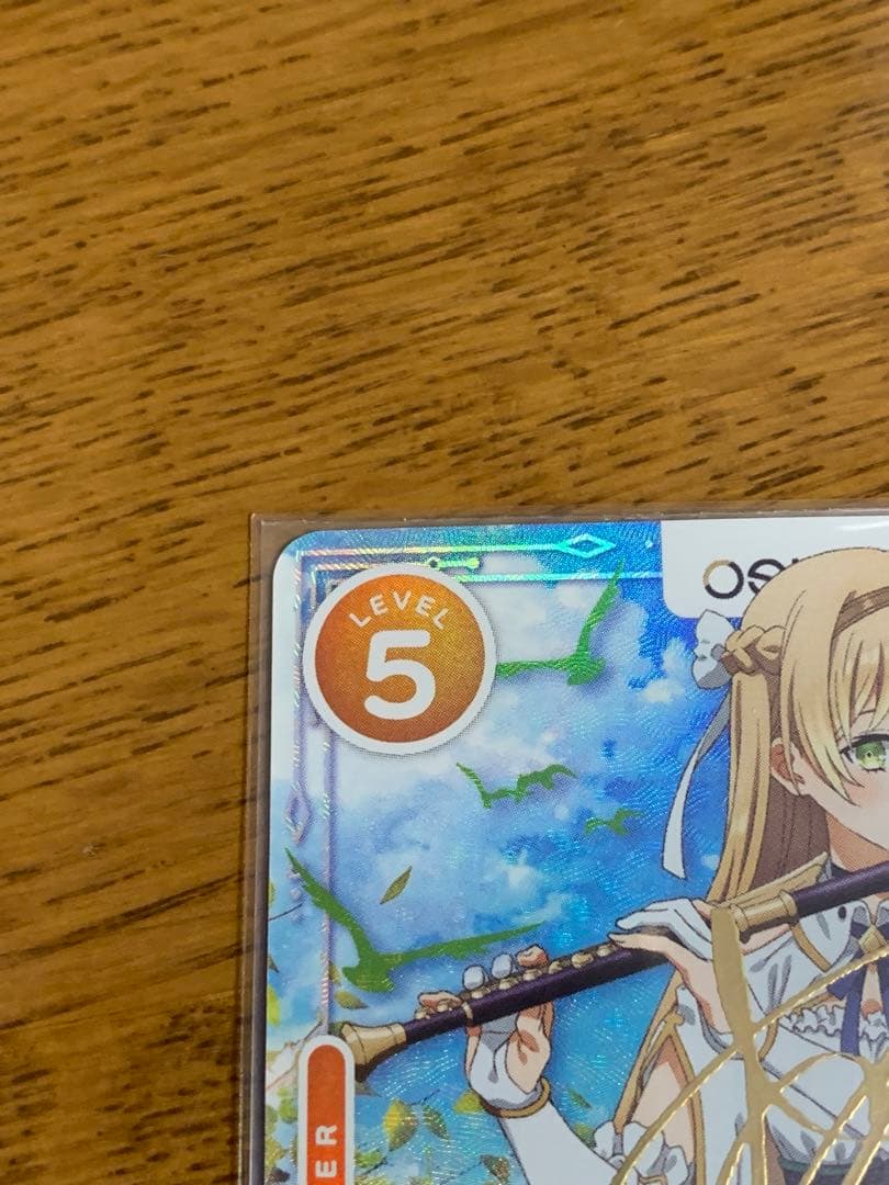 メッシーOSICA　ライザのアトリエ　サイン　クラウディア バレンツセット