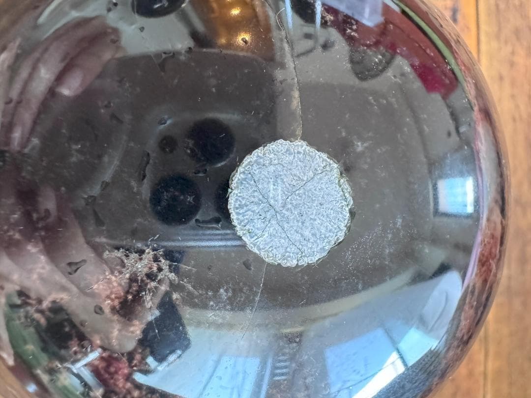 黒曜石　12ｃｍ前後 玉　天然石