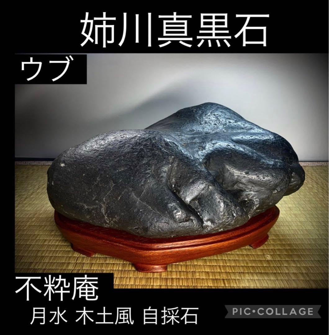 4396 姉川真黒石 ウブ 横33(cm) 13.58kg 瀬田川石水石自然石 - メルカリ
