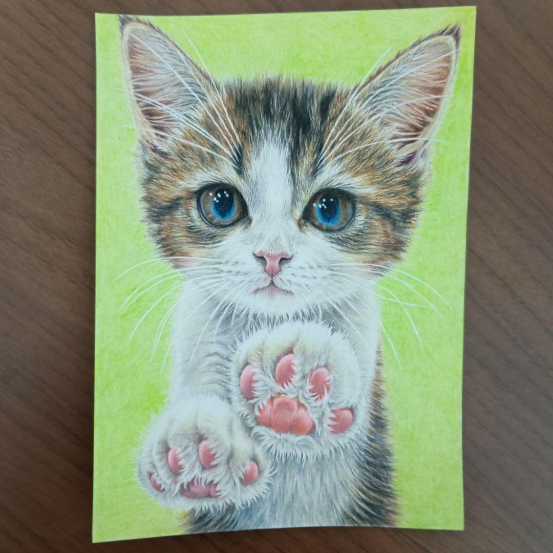 2L 原画 手描きイラスト 子猫 猫の絵 猫イラスト 色鉛筆画 パステル画