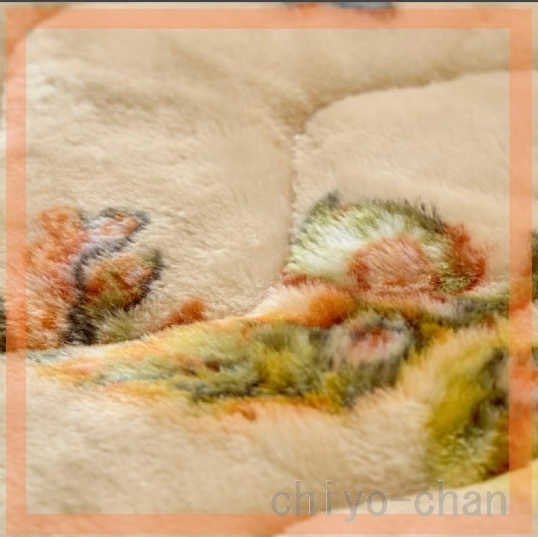 2点セット！　モリリン アルミ蒸着シート入り 吸湿発熱 毛布&敷きパッド