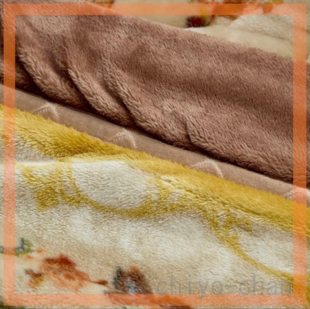 2点セット！　モリリン アルミ蒸着シート入り 吸湿発熱 毛布&敷きパッド